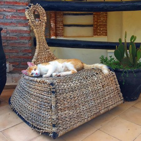 Riad Nejma Lounge Marrákes Kültér fotó