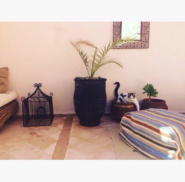 Riad Nejma Lounge Marrákes Kültér fotó