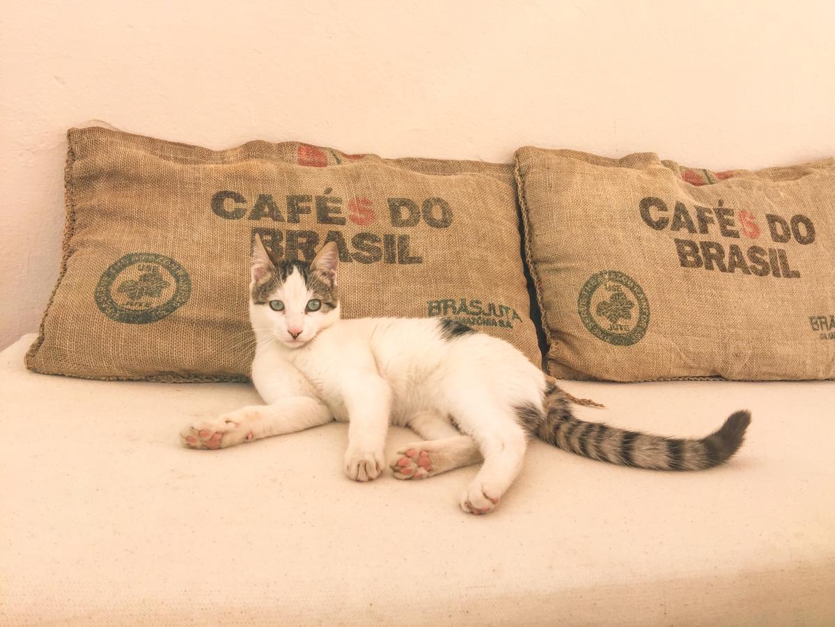 Riad Nejma Lounge Marrákes Kültér fotó