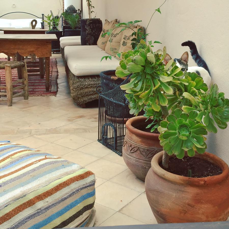 Riad Nejma Lounge Marrákes Kültér fotó